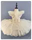 Girls Ballet Dance Dress Baby Princess Party Costume Toddler Pettiskirt Dress — product photo 2 — shop Bangladesh | RADANAN