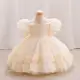Girls Korean Style Dress Set – Baby Girl Party Outfit Skirt & Top Premium — buy online in Bangladesh — RADANAN