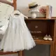 Elegant Princess Dress for Girls – Kids Party Gown Skirt — product photo 5 — shop Bangladesh | RADANAN