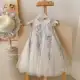 Girls' Dress Summer 2026 New Style Children's Fashionable Mesh Princess Dress Baby Girl Summer Dress — product photo 4 — shop Bangladesh | RADANAN
