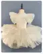 Girls Ballet Dance Dress Baby Princess Party Costume Toddler Pettiskirt Dress — product photo 3 — shop Bangladesh | RADANAN